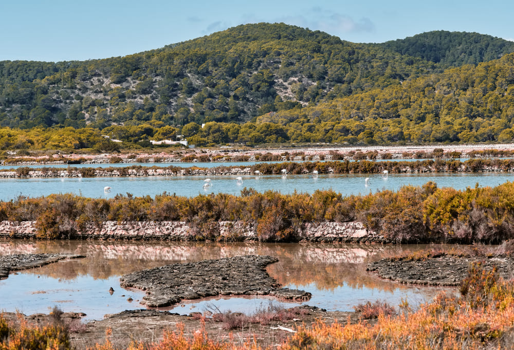 What to See in Formentera: Complete Guide for a One-Day Visit